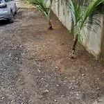 Casa Laranja Praia Dura